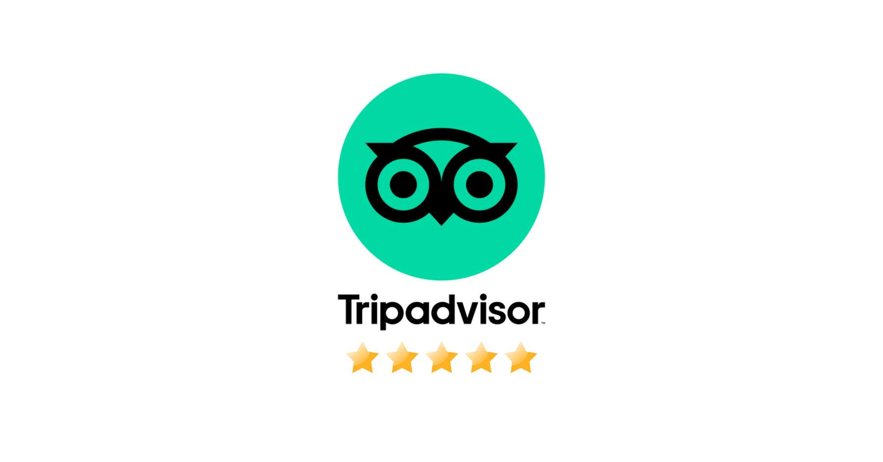 Guide to getting more local Tripadvisor reviews – RATECARDS